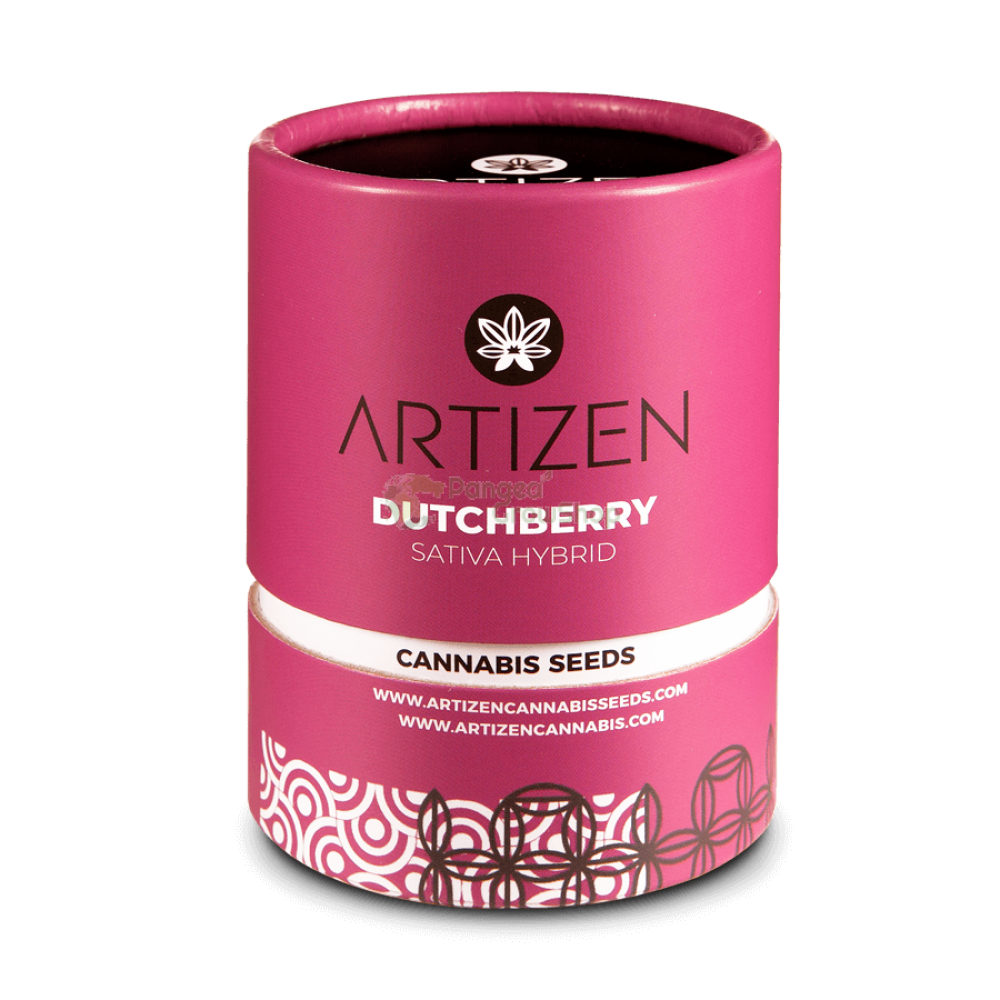 Dutchberry