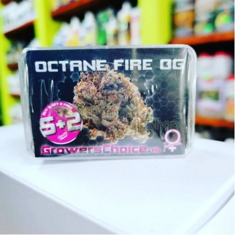 Octane Fire OG pack 5 semillas+2 de regalo